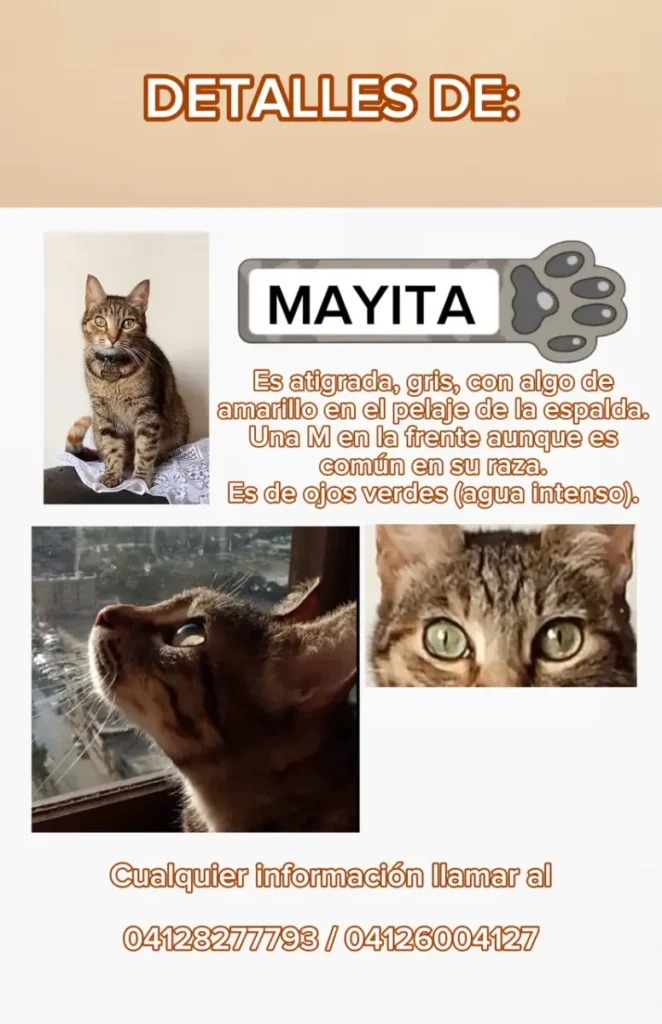 Mayita