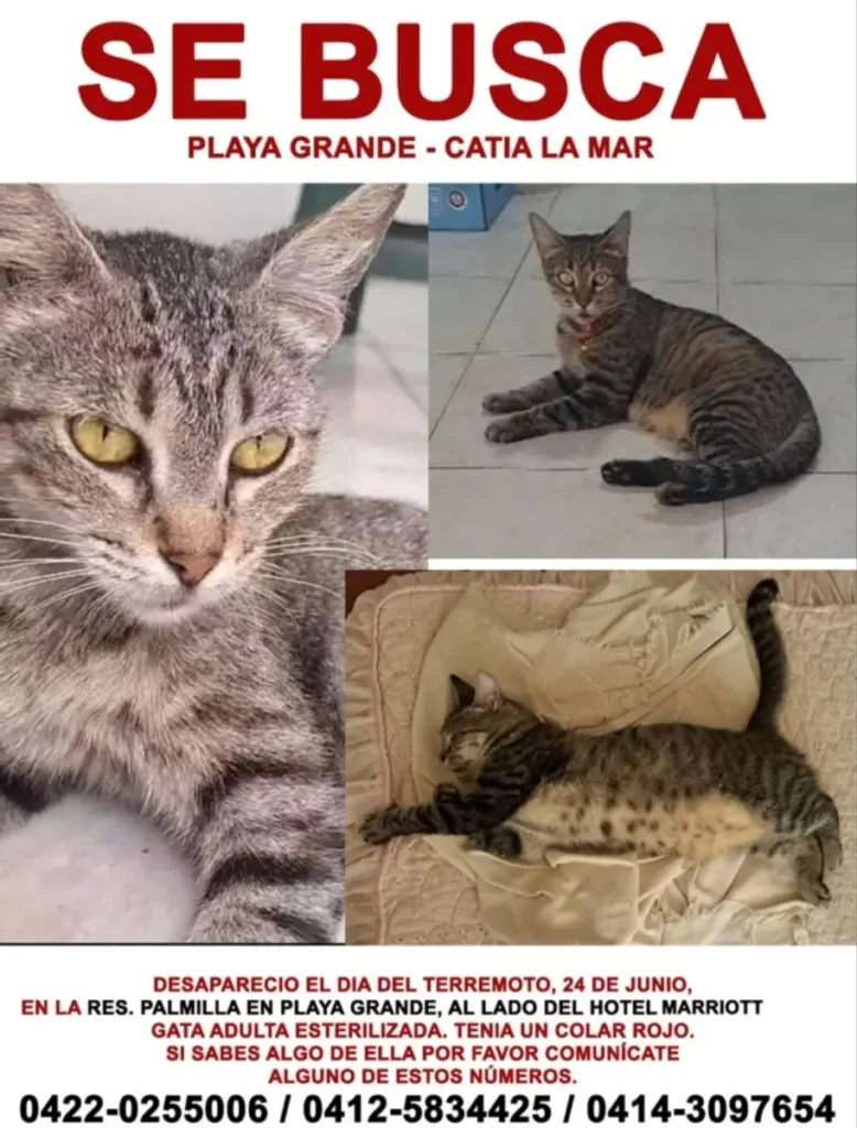 Mico