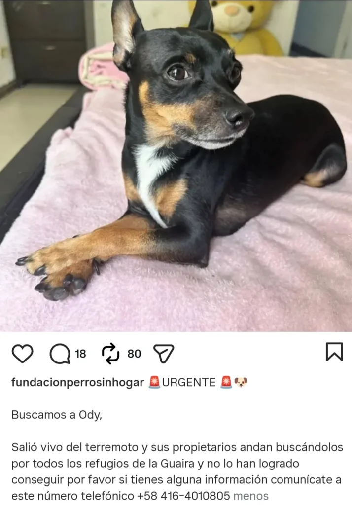 Ody
