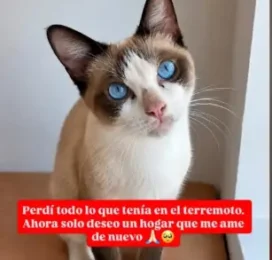encontrado