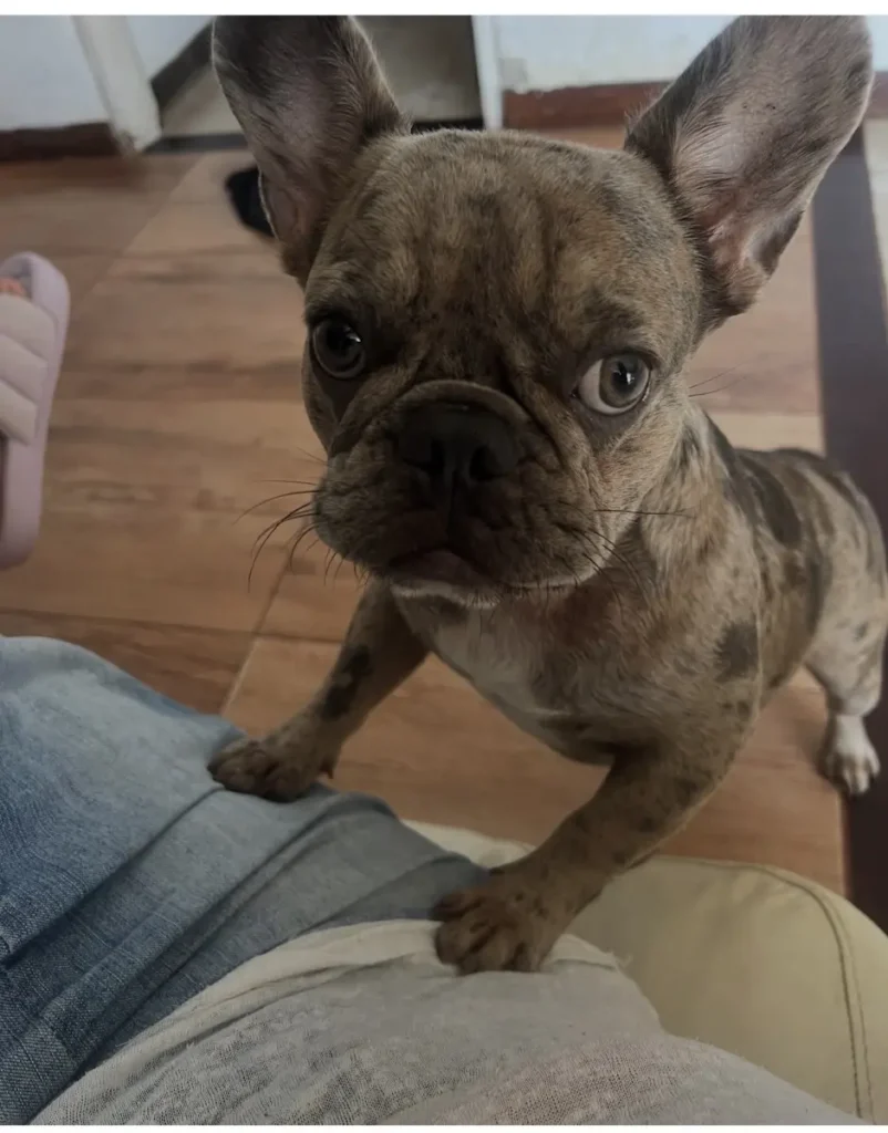 NELA