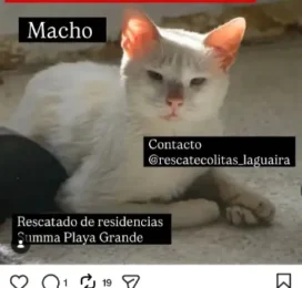 encontrado en La Guaira