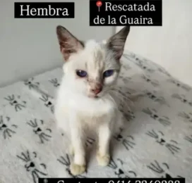 encontrado