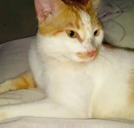 perdido en La Guaira