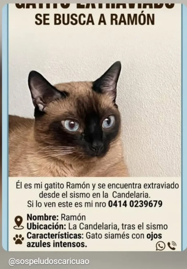 RAMON