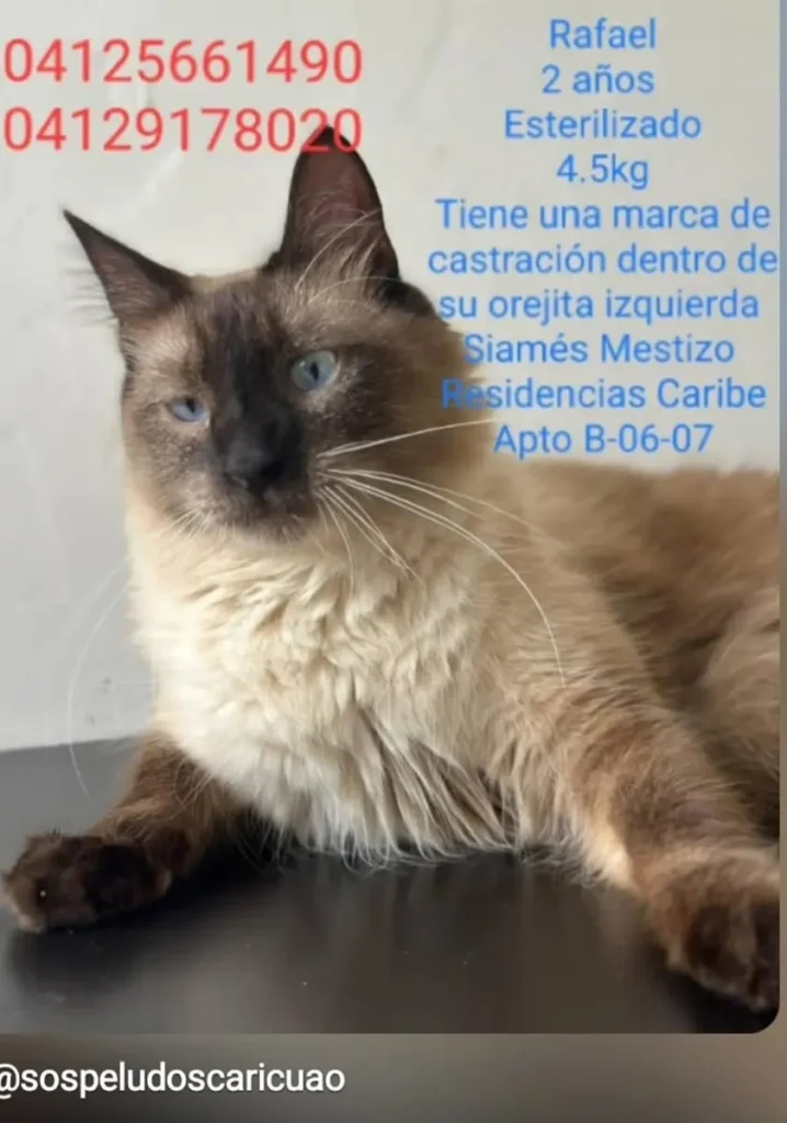 RAFAEL