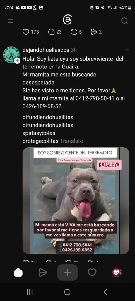 KATALEYA