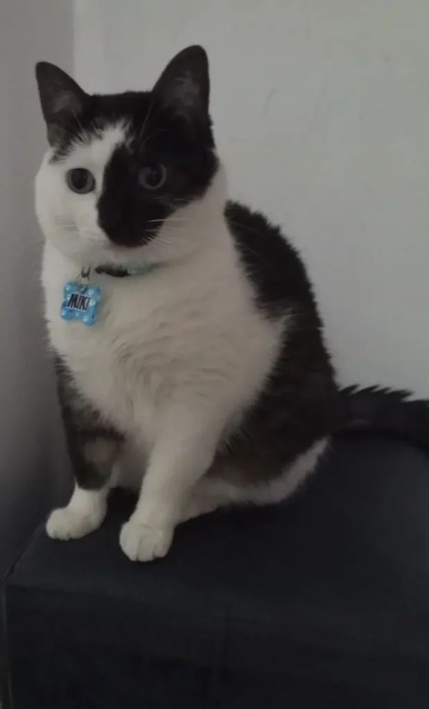 Miki