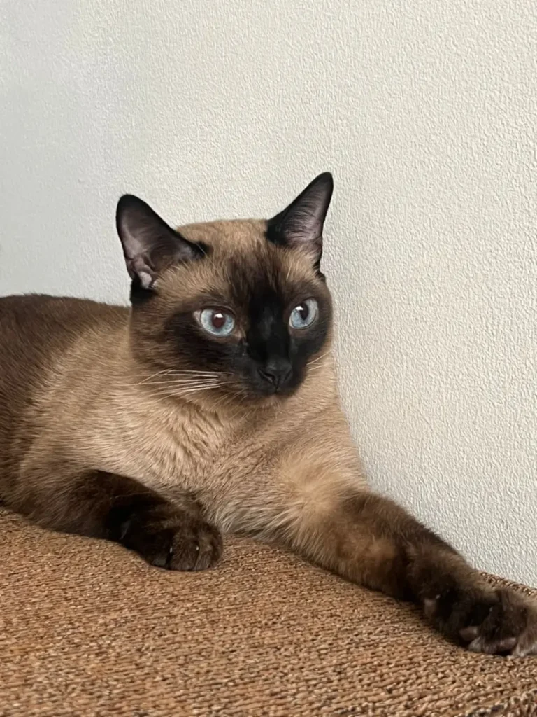 Ramón
