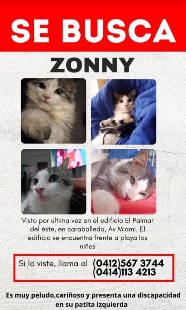 Zonny