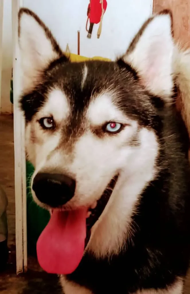 Zeus