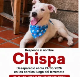 perdido en La Guaira