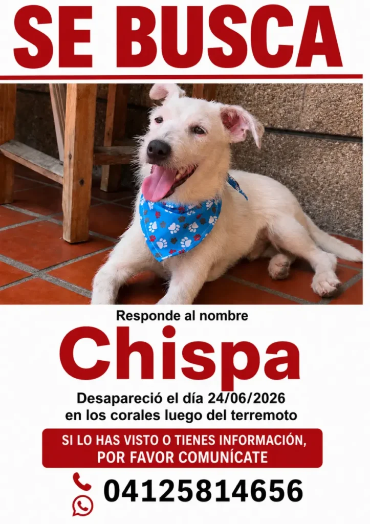 Chispa