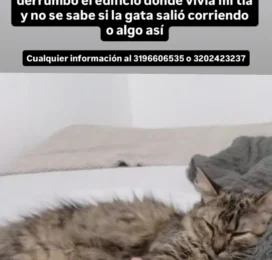 perdido