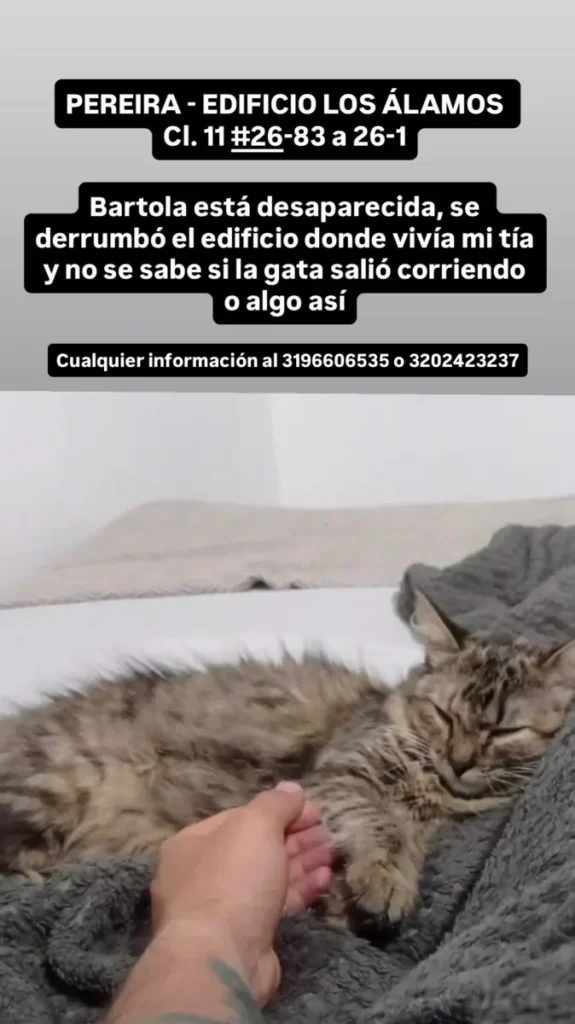 BARTOLA