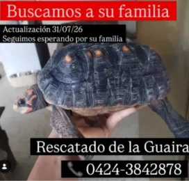 encontrado