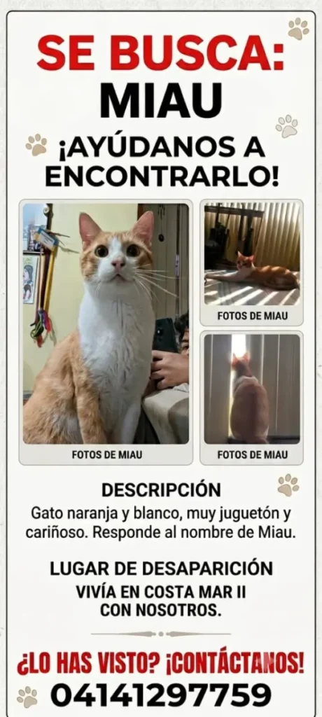 Miau