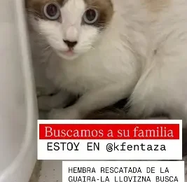 encontrado