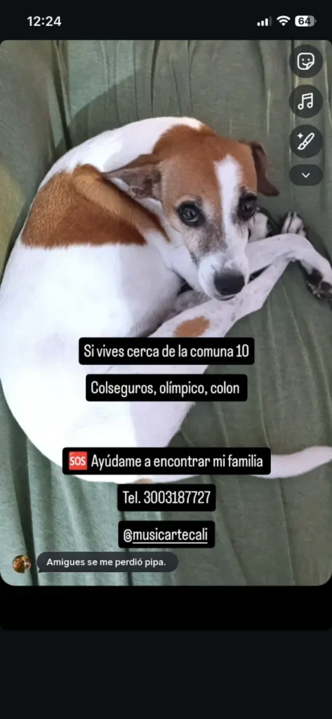 Pipa