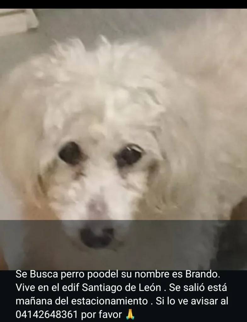 Brando