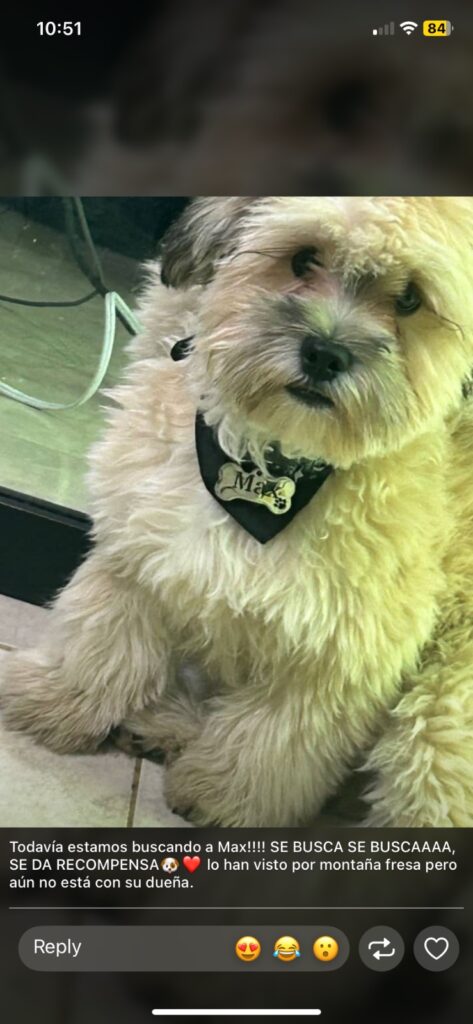 Max